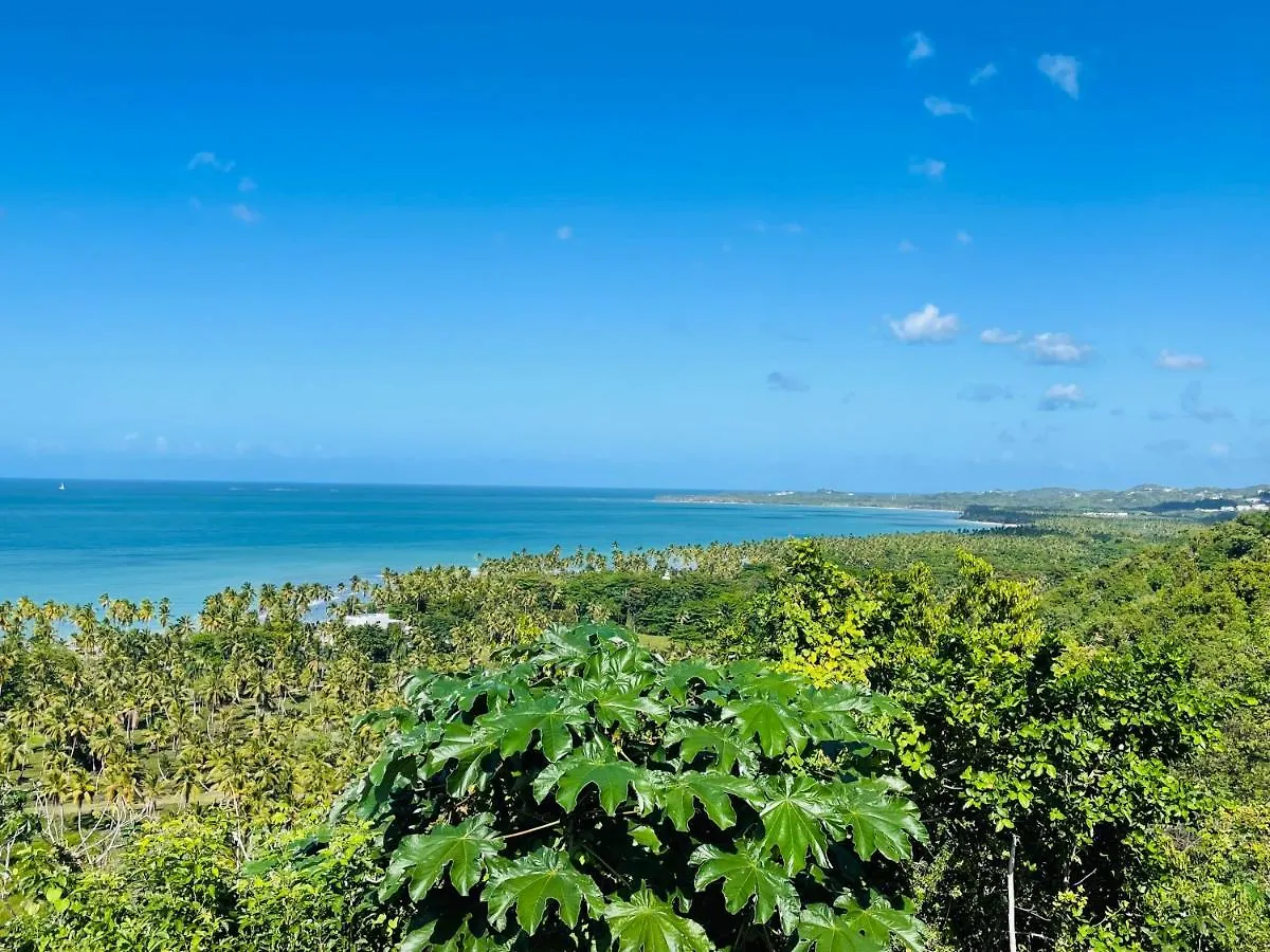 Villa Tortuga, Guest House Private Bungalow, Private Pool Las Terrenas 0*,  Dominican Republic